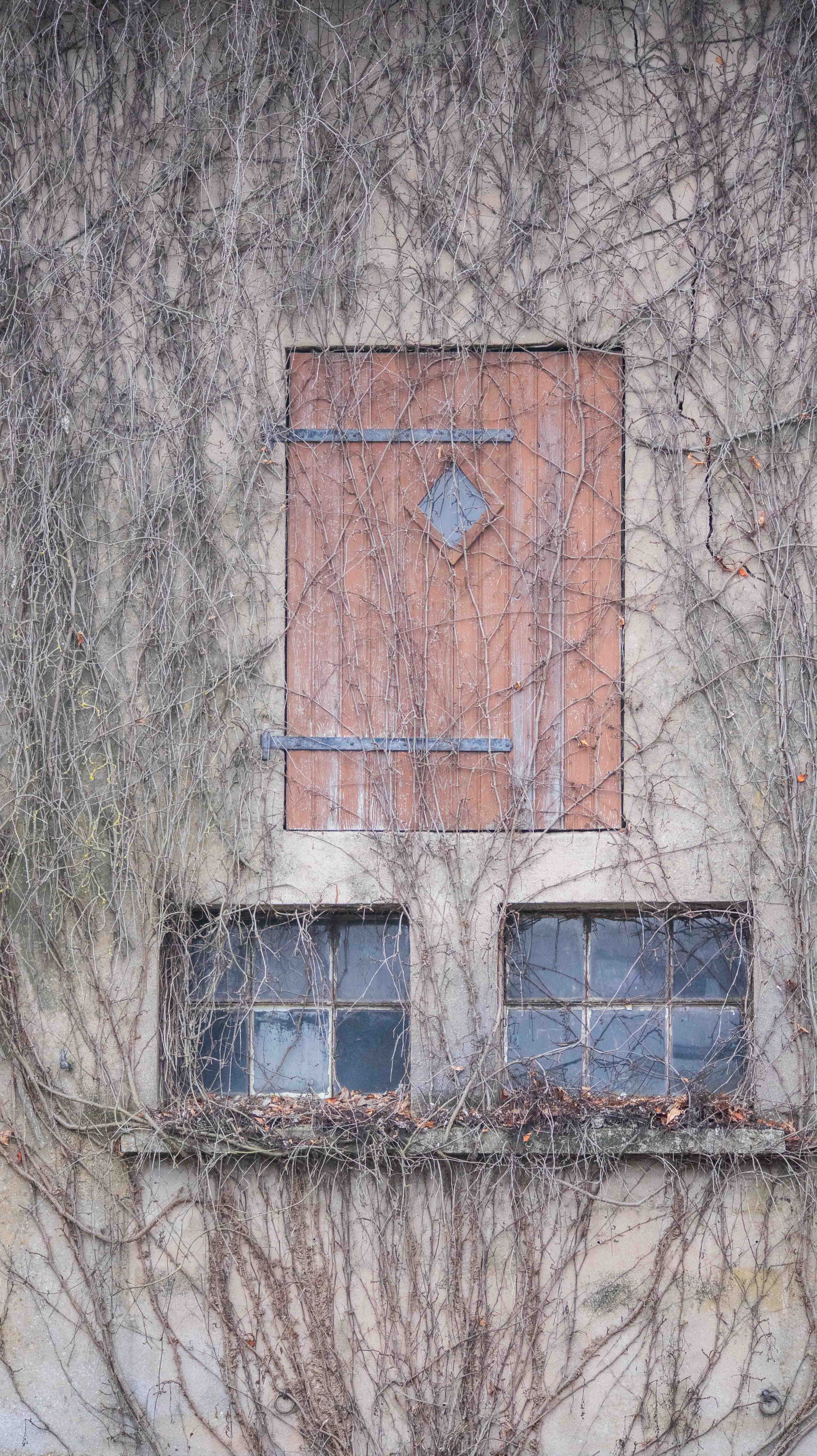 EPPING_34.jpg