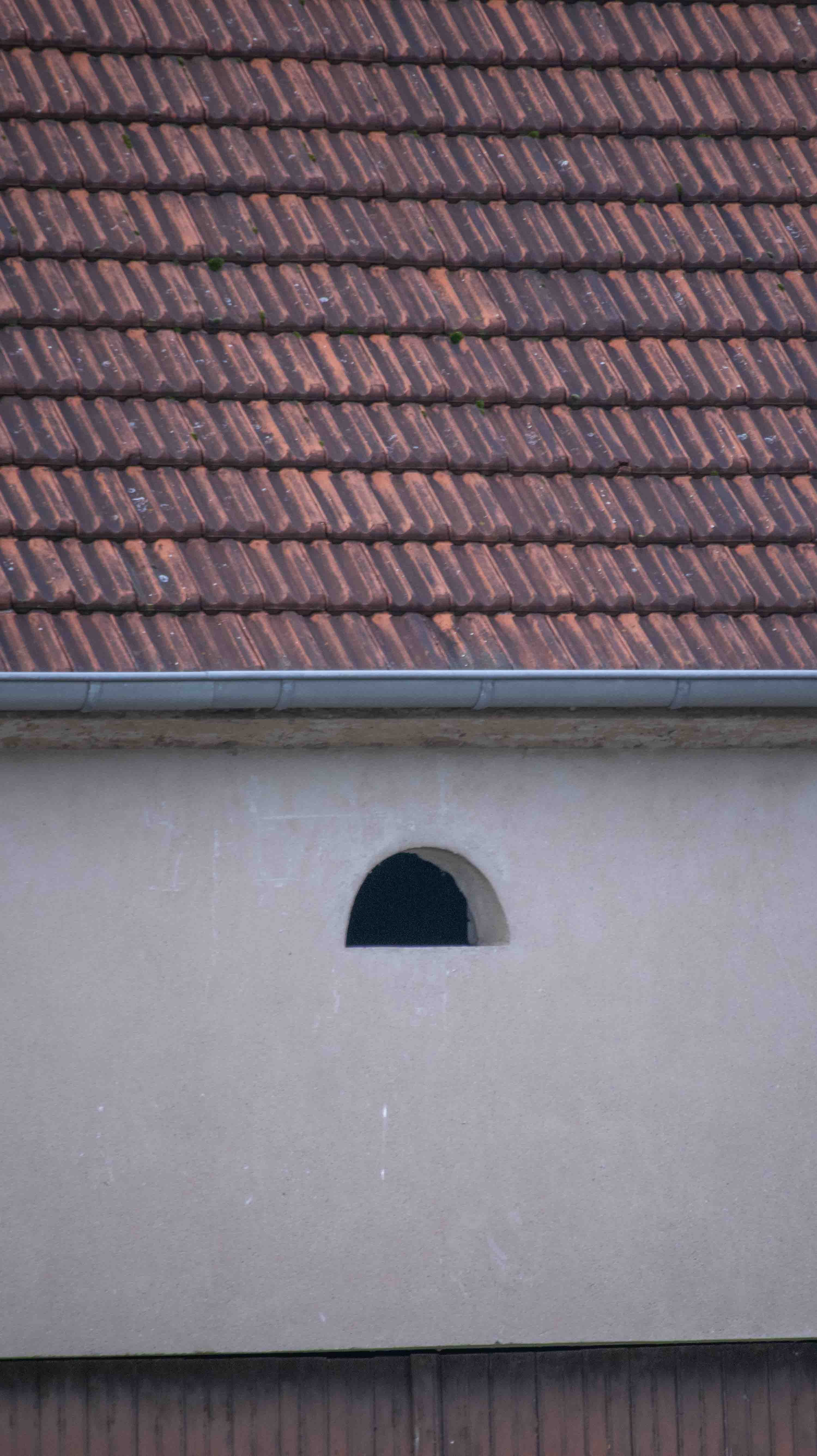 ESCHVILLER_28.jpg